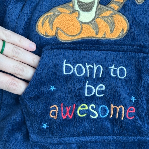 Disney Winnie the Pooh Embroidered Baby Bunting 3M Tigger Hood Ears Velour Plush - Picture 3 of 14